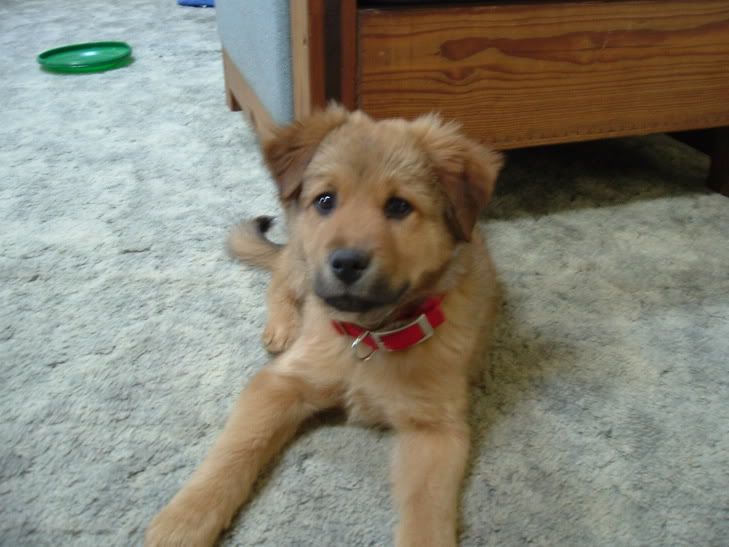 Image hosted by Photobucket.com